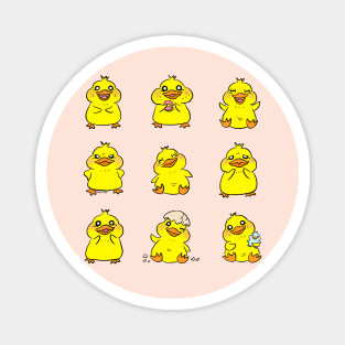 Yellow baby chick Magnet